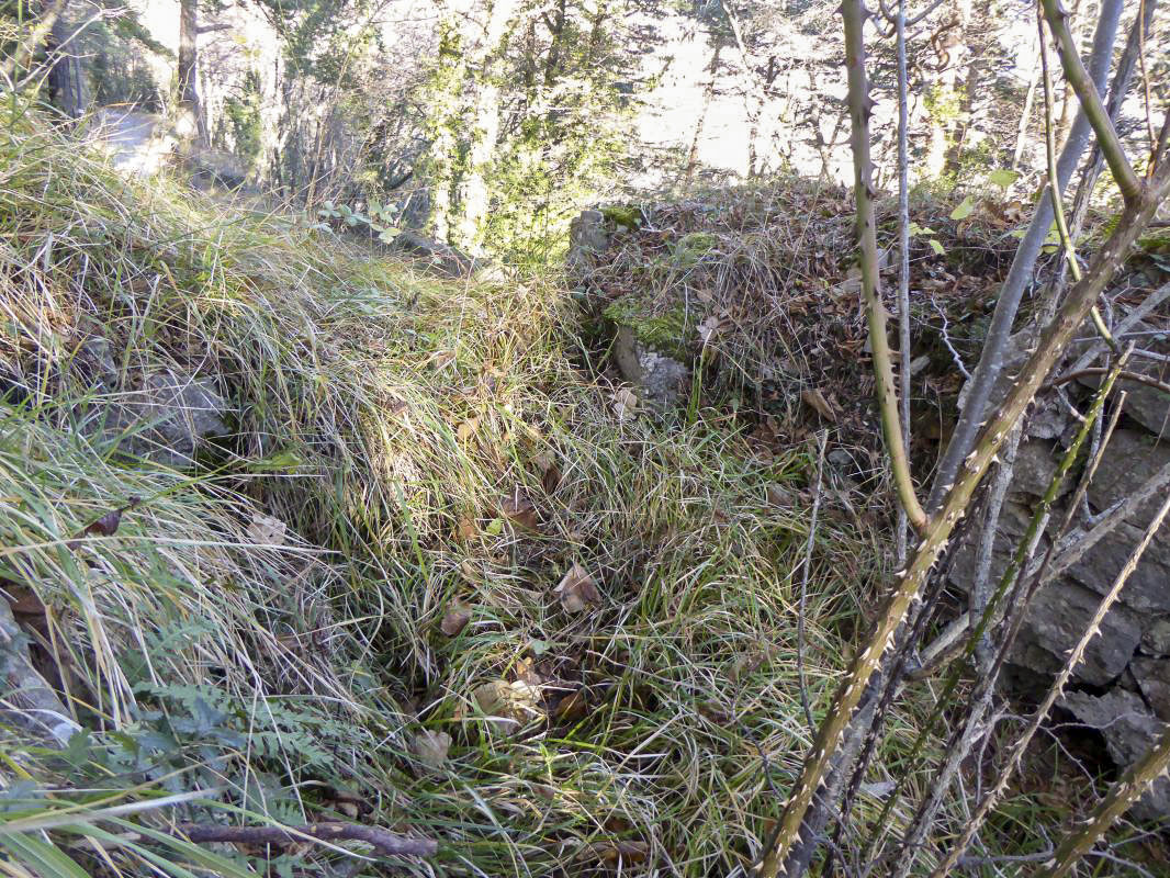 Ligne Maginot - PAS DE L'AGREE NORD - (Blockhaus pour arme infanterie) - 
