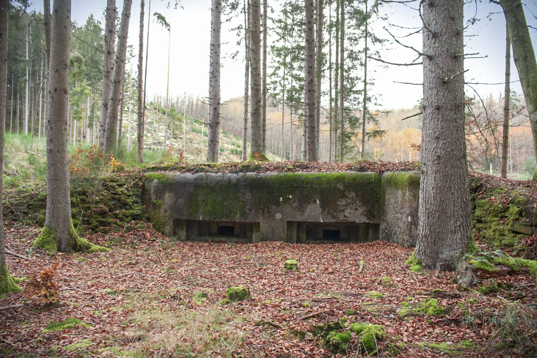 Ligne Maginot - ERBSENTHAL 1 - (Blockhaus pour arme infanterie) - 