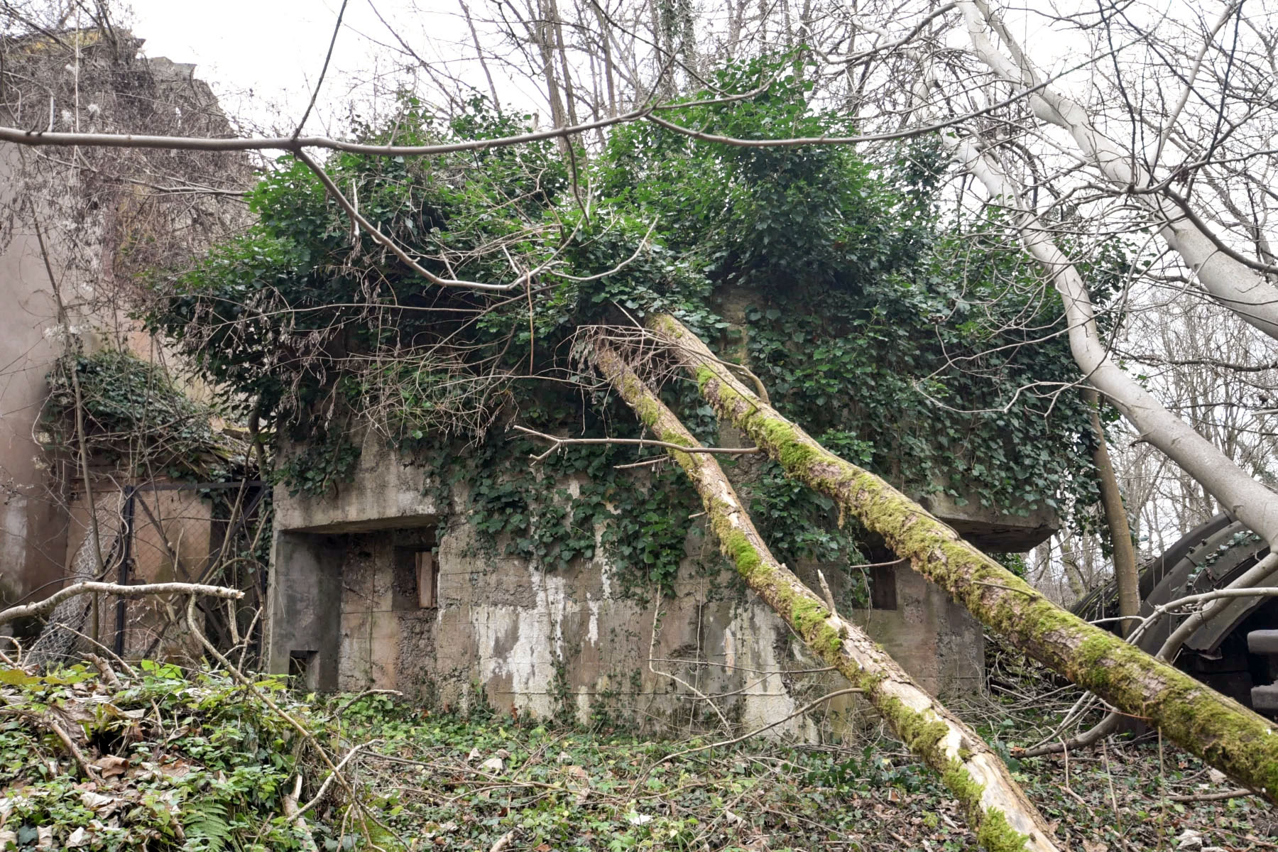 Ligne Maginot - 18 - PONT DE GERSTHEIM - (Blockhaus pour arme infanterie) - 