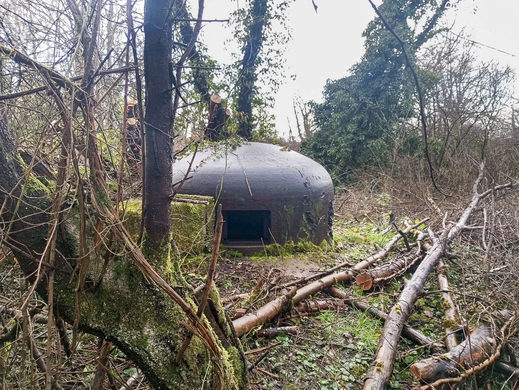 Ligne Maginot - 9/3 - AUENHEIM SUD - (Casemate d'infanterie - Simple) - Cloche GFM Nord et ses impacts.