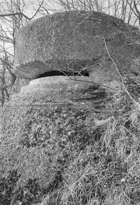 Ligne Maginot - AVELLAN - (Observatoire d'infanterie) - 