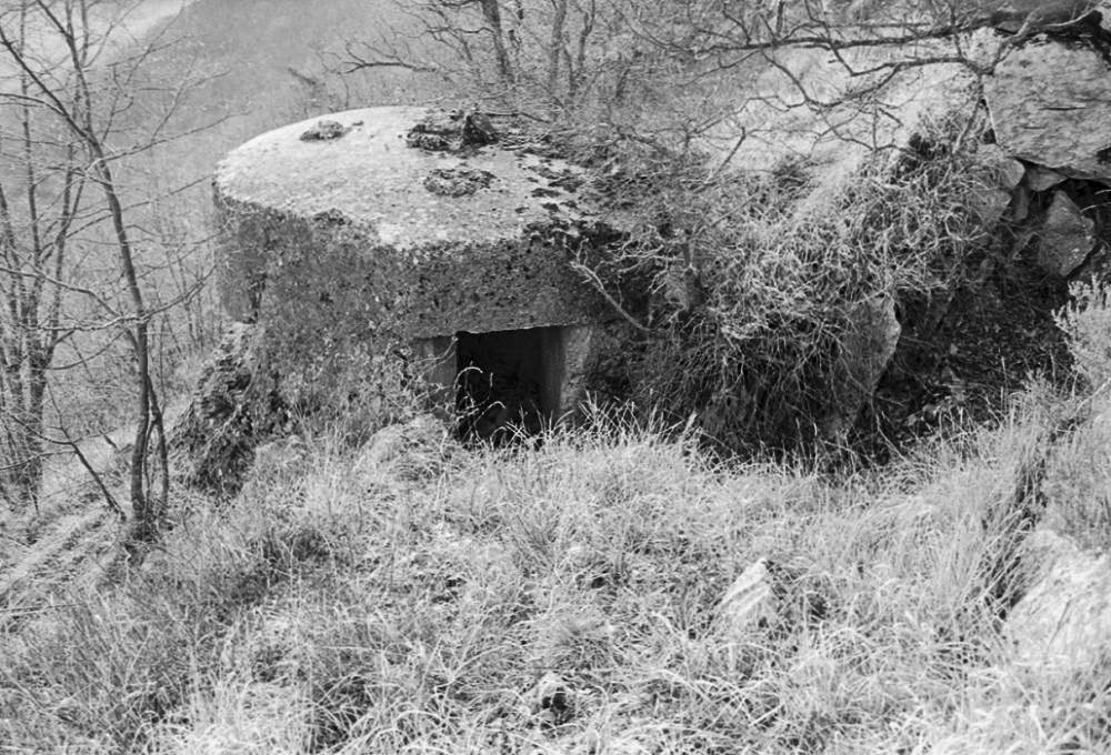 Ligne Maginot - AVELLAN - (Observatoire d'infanterie) - 