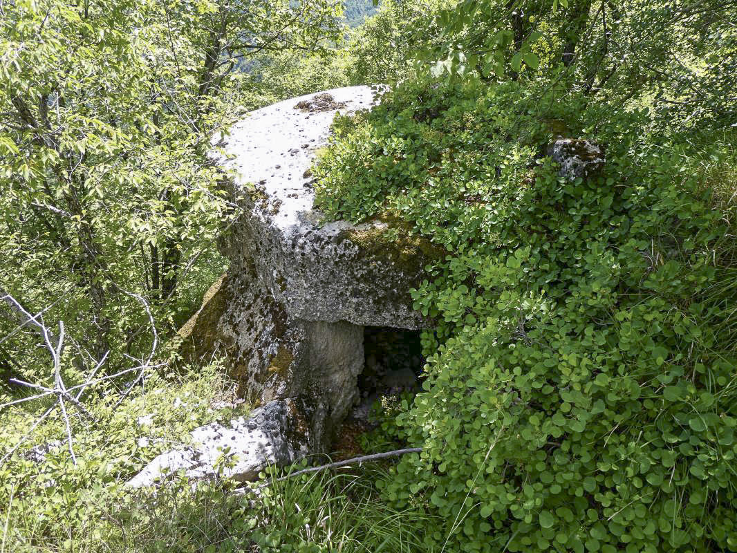 Ligne Maginot - AVELLAN - (Observatoire d'infanterie) - 