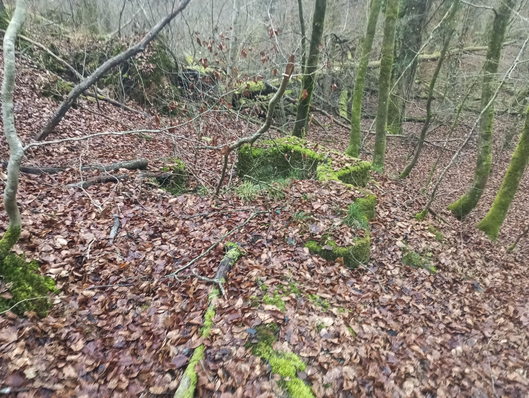 Ligne Maginot - KOENIGSBRUCK NORD 2 - (Cuve pour arme d'infanterie) - L'implantation de la cuve, à proximité du 'Thalweg'.