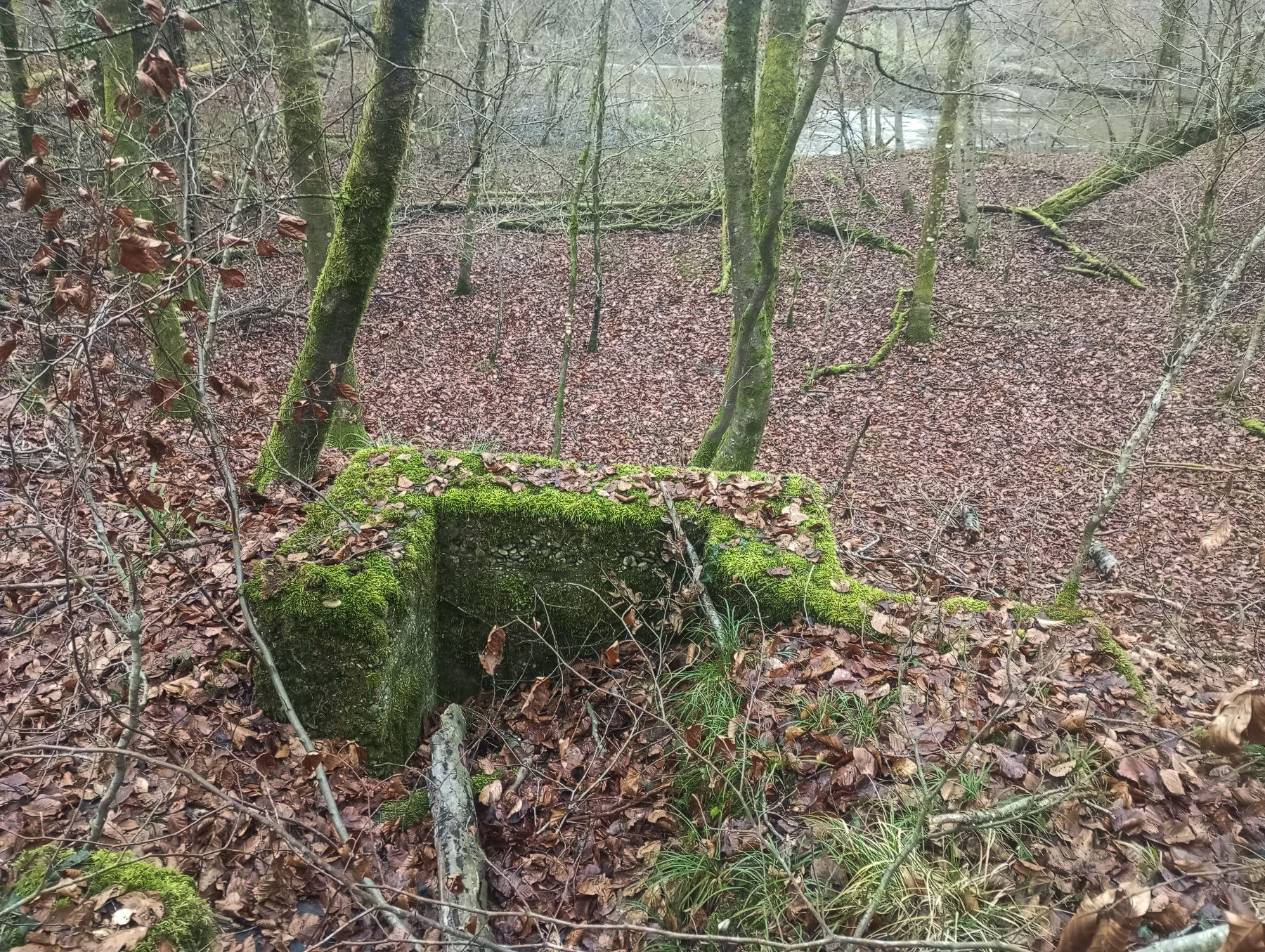 Ligne Maginot - KOENIGSBRUCK NORD 2 - (Cuve pour arme d'infanterie) - La cuve avec la Sauer en arrière plan.