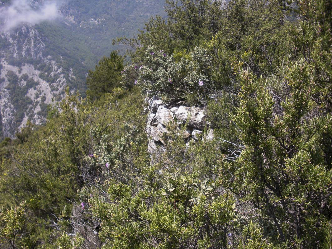 Ligne Maginot - COL DE LA TORRE - (Cuve pour arme d'infanterie) - Cuve pour armes d'infanterie