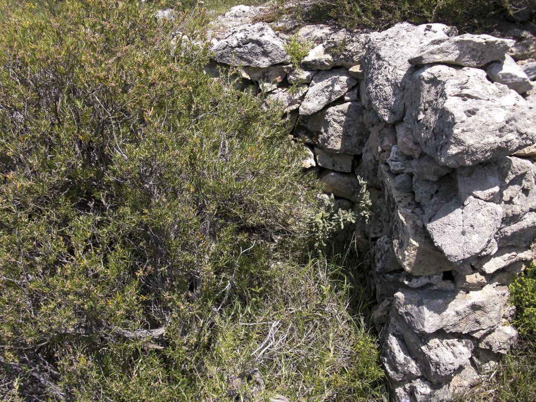 Ligne Maginot - COL DE LA TORRE - (Cuve pour arme d'infanterie) - Cuve pour armes d'infanterie