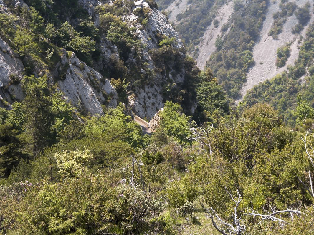 Ligne Maginot - COL DE LA TORRE - (Cuve pour arme d'infanterie) - Vue sur la route menant au col de la Madone, sortie du deuxième tunnel 
