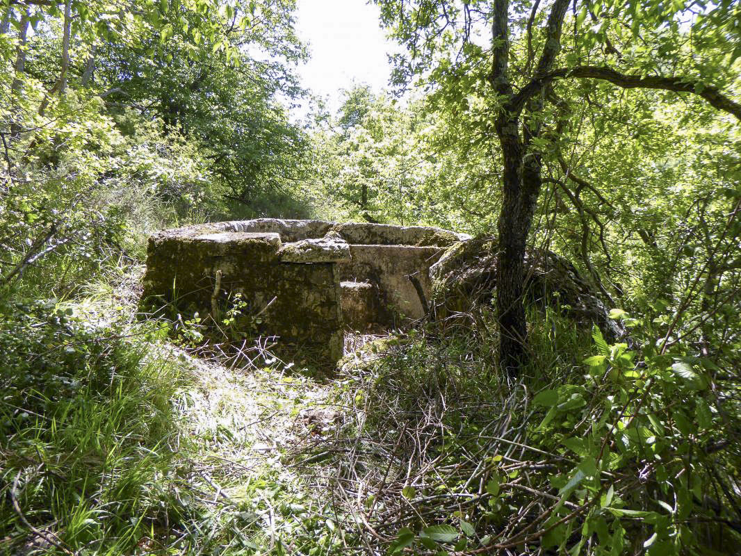 Ligne Maginot - COL DE SEGRA CENTRE - (Cuve pour arme d'infanterie) - 