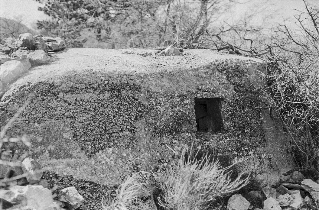 Ligne Maginot - COL DE SEGRA SUD-EST 1 - (Blockhaus pour arme infanterie) - 