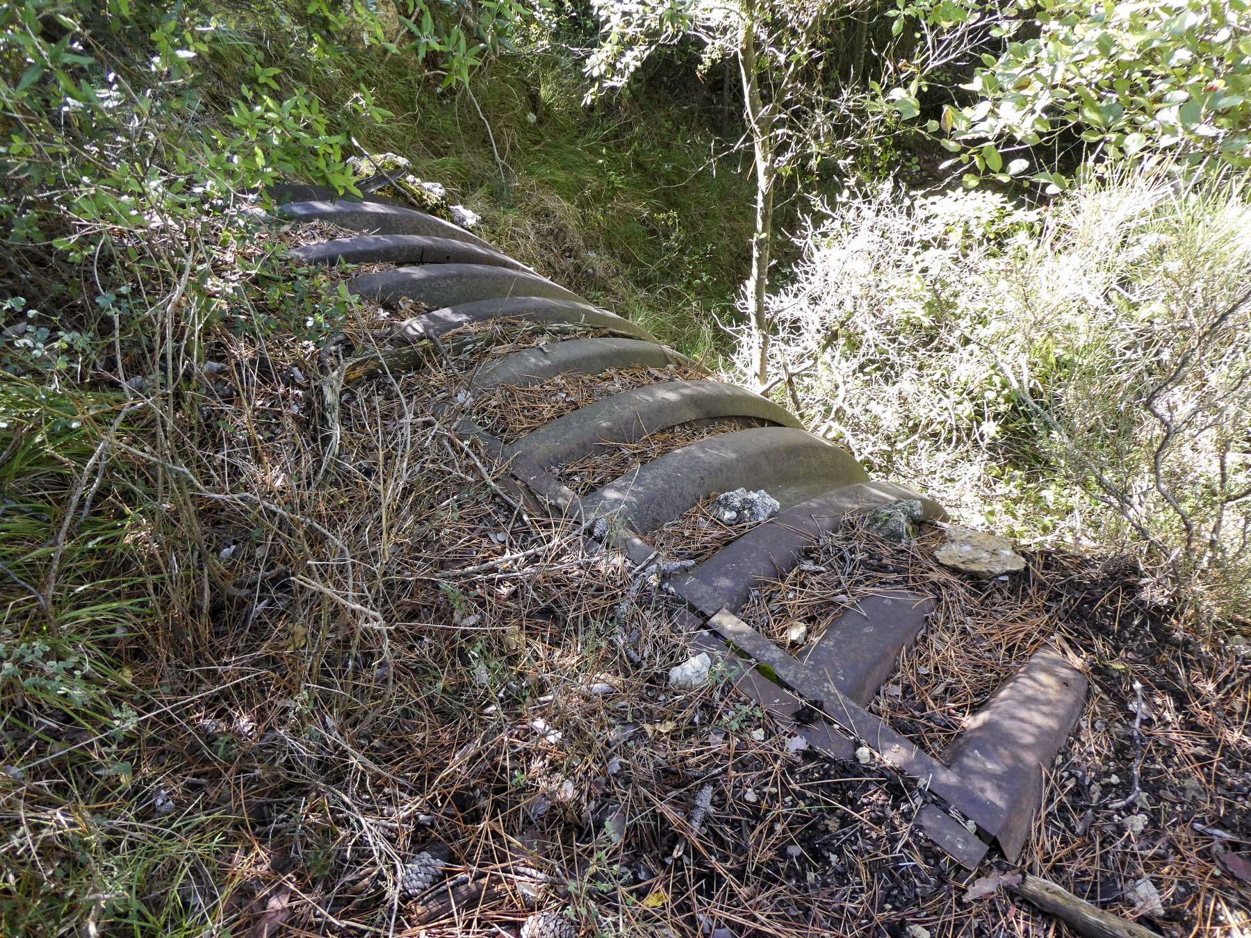 Ligne Maginot - COTE 902 - (Abri) - 