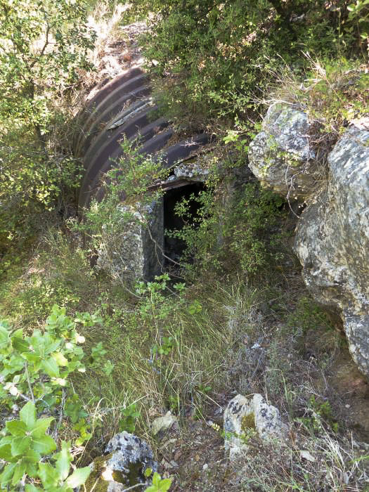 Ligne Maginot - COTE 902 - (Abri) - 