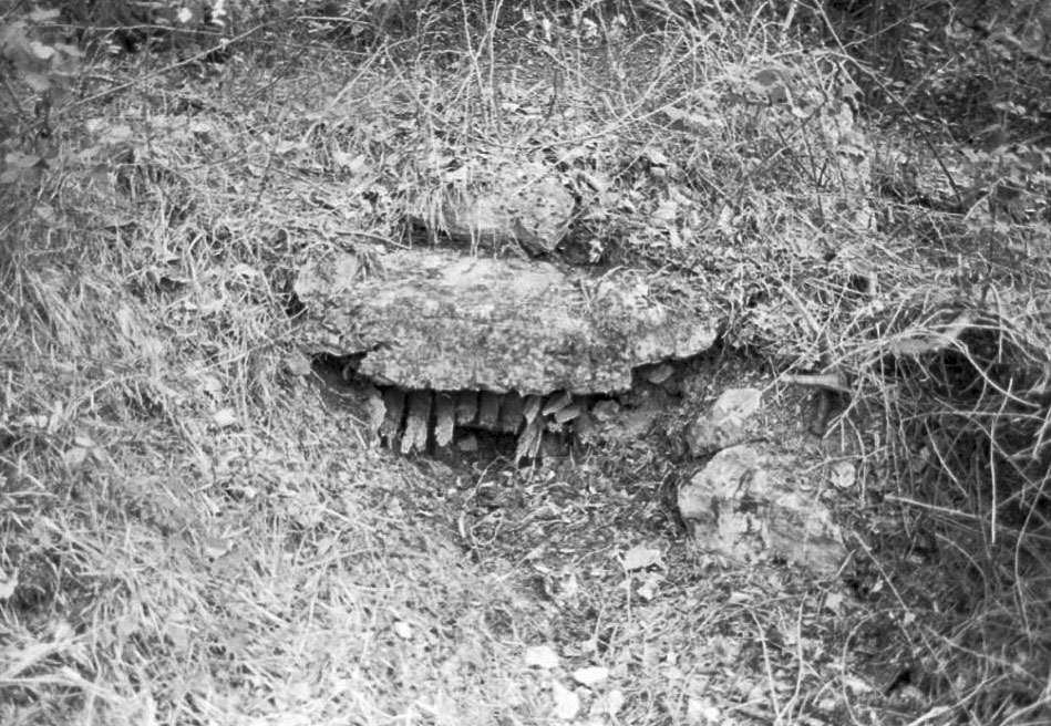 Ligne Maginot - COTE 902 CENTRE 2 - (Blockhaus pour arme infanterie) - 
