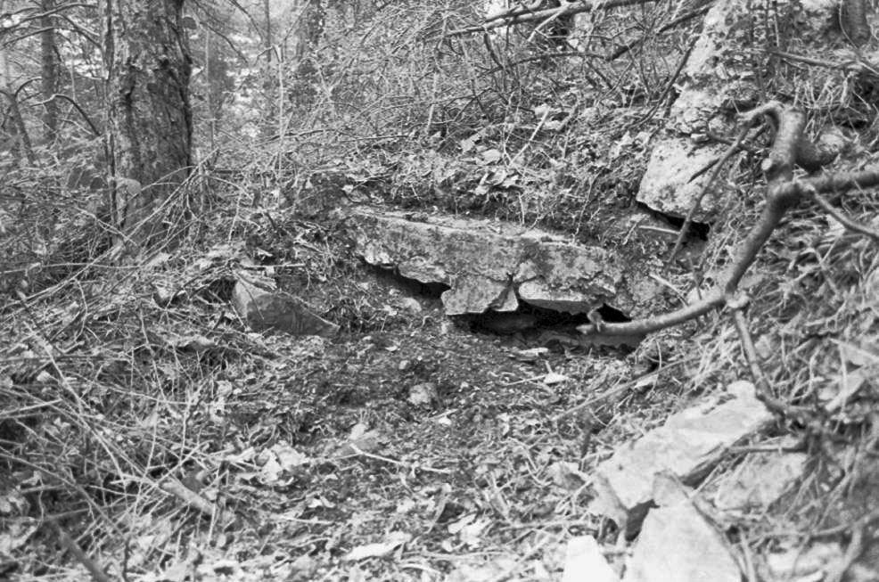 Ligne Maginot - COTE 902 CENTRE 2 - (Blockhaus pour arme infanterie) - 