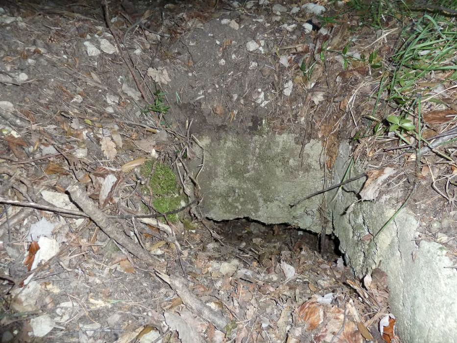 Ligne Maginot - COTE 902 CENTRE 2 - (Blockhaus pour arme infanterie) - L'entrée pratiquement comblée
