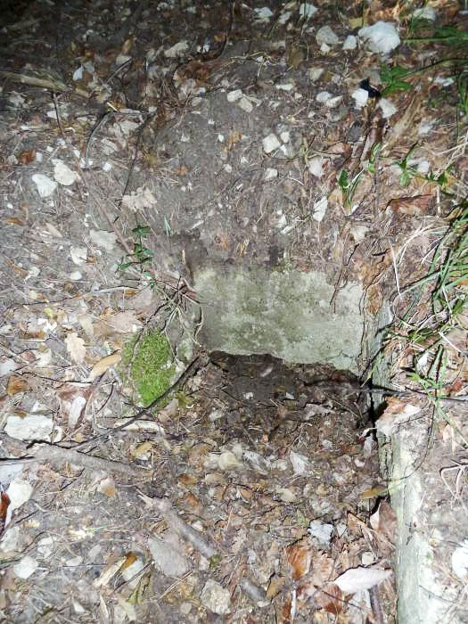 Ligne Maginot - COTE 902 CENTRE 2 - (Blockhaus pour arme infanterie) - L'entrée de l'abri est pratiquement comblée maintenant