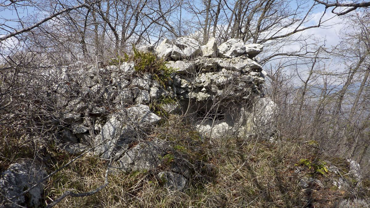 Ligne Maginot - COTE 942 NORD 1 - (Observatoire d'infanterie) - 