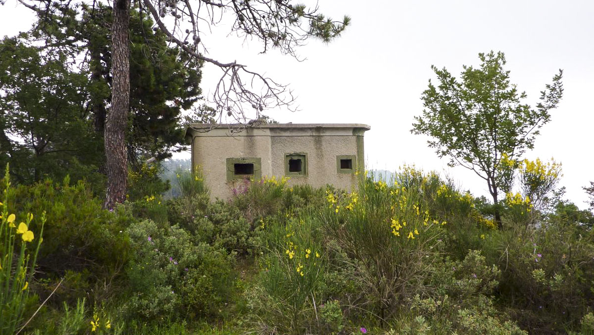 Ligne Maginot - COUPIERE - (Stand de tir) - 