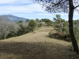 Ligne Maginot - LA COUPIERE NORD - (Position d'artillerie préparée) - Emplacement de la position d'artillerie