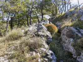 Ligne Maginot - PIC DE GARUCHE - (Blockhaus pour arme infanterie) - Tranchée d'accès