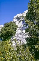 Ligne Maginot - TETE DE CHIEN - (Abri) - Créneaux de l'abri IX du tunnel, donnant sur le chemin montant de la côte.