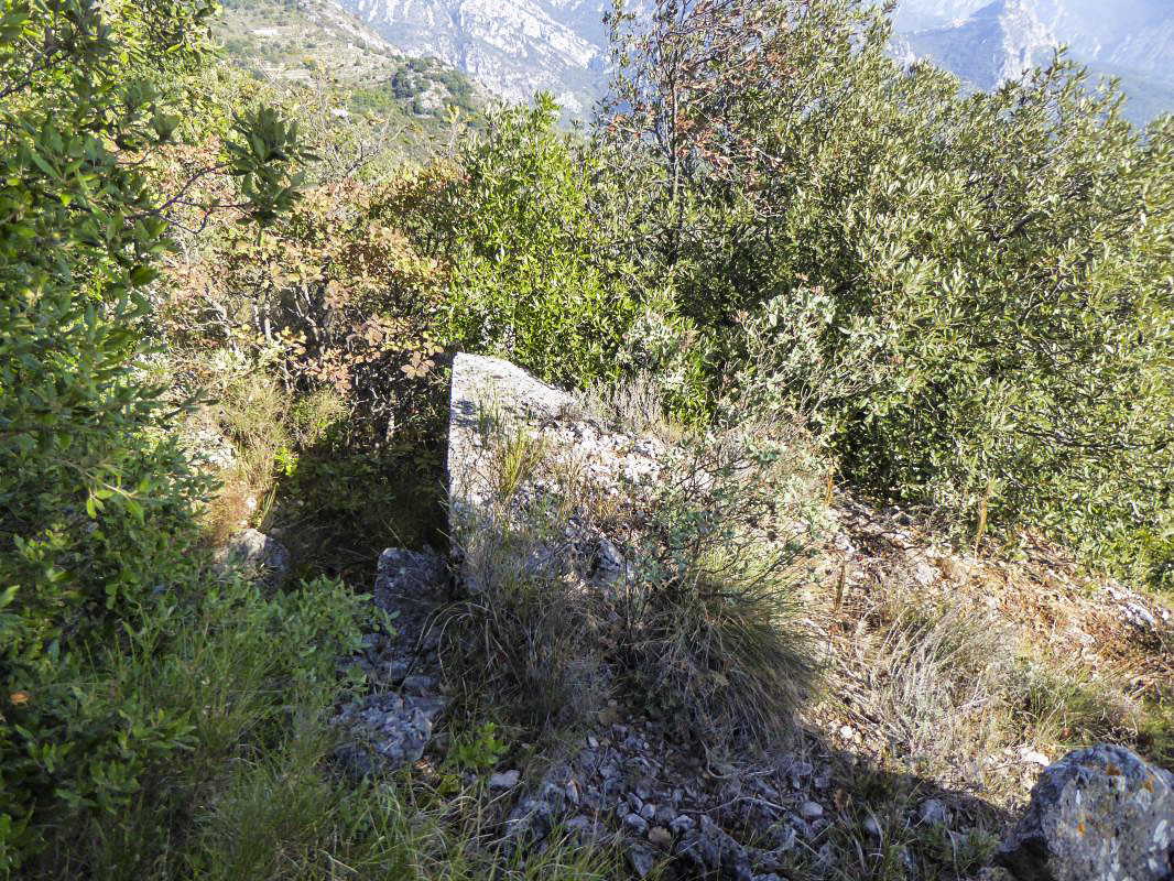 Ligne Maginot - EST DU MONT GROS - (Observatoire d'artillerie) - 
