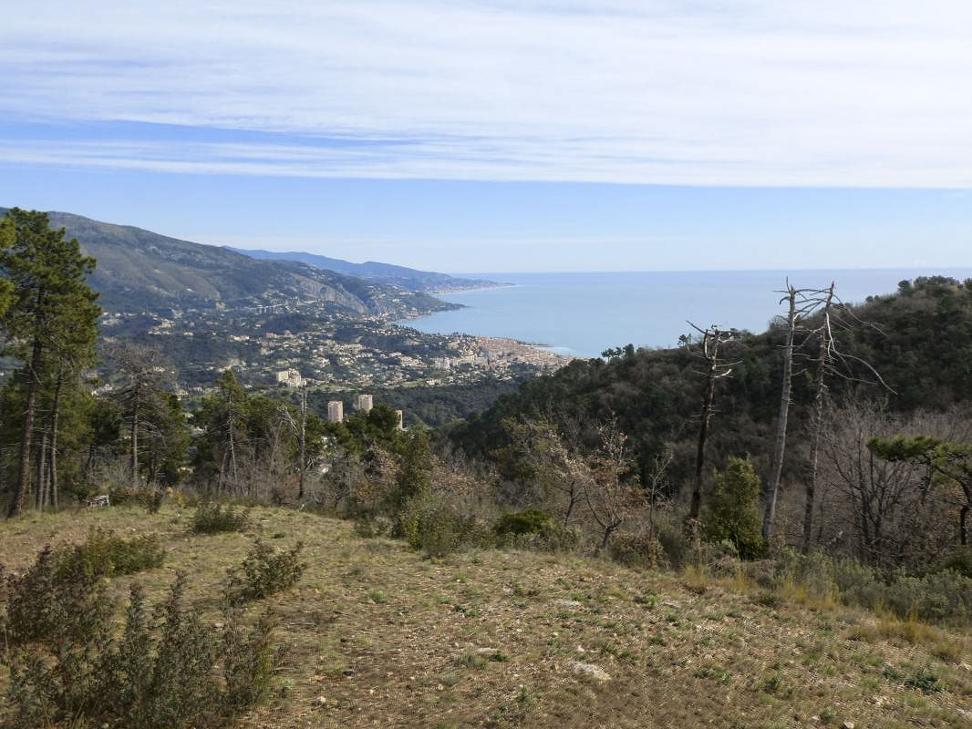 Ligne Maginot - LA COUPIERE NORD - (Position d'artillerie préparée) - Vue sur Menton