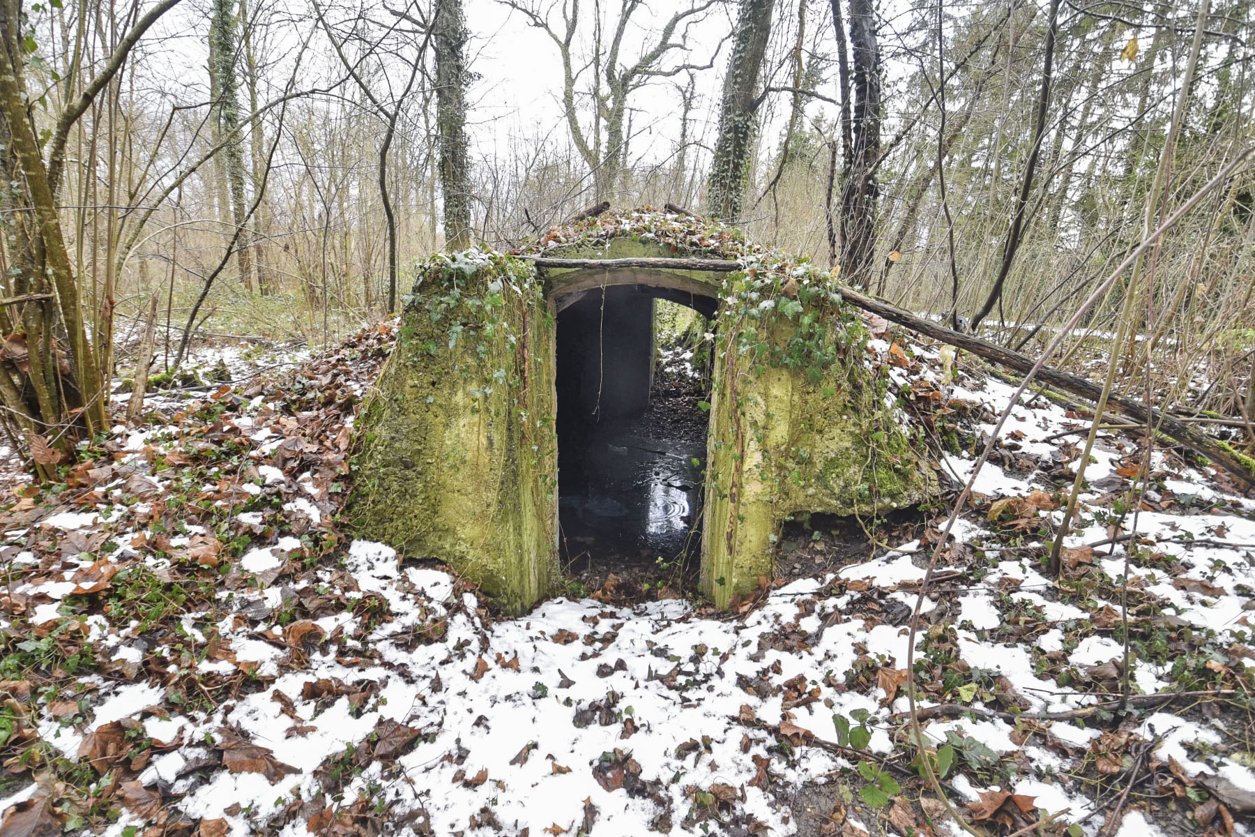 Ligne Maginot - PFIFFERWALD - (Abri) - 