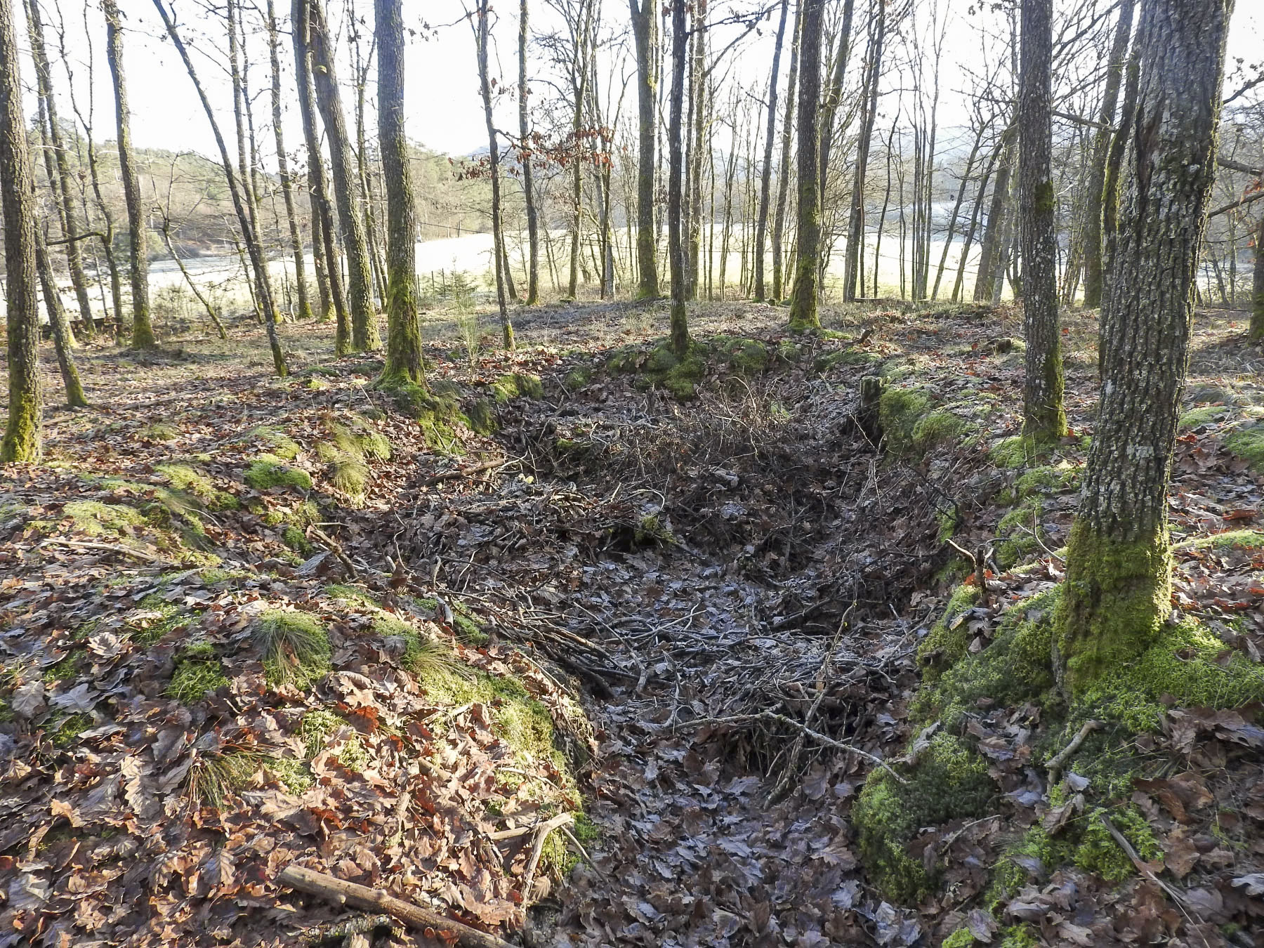 Ligne Maginot - WALDECK (9°BIE 60°RMAF) - (Position d'artillerie préparée) - Un autre emplacement d'abri ?