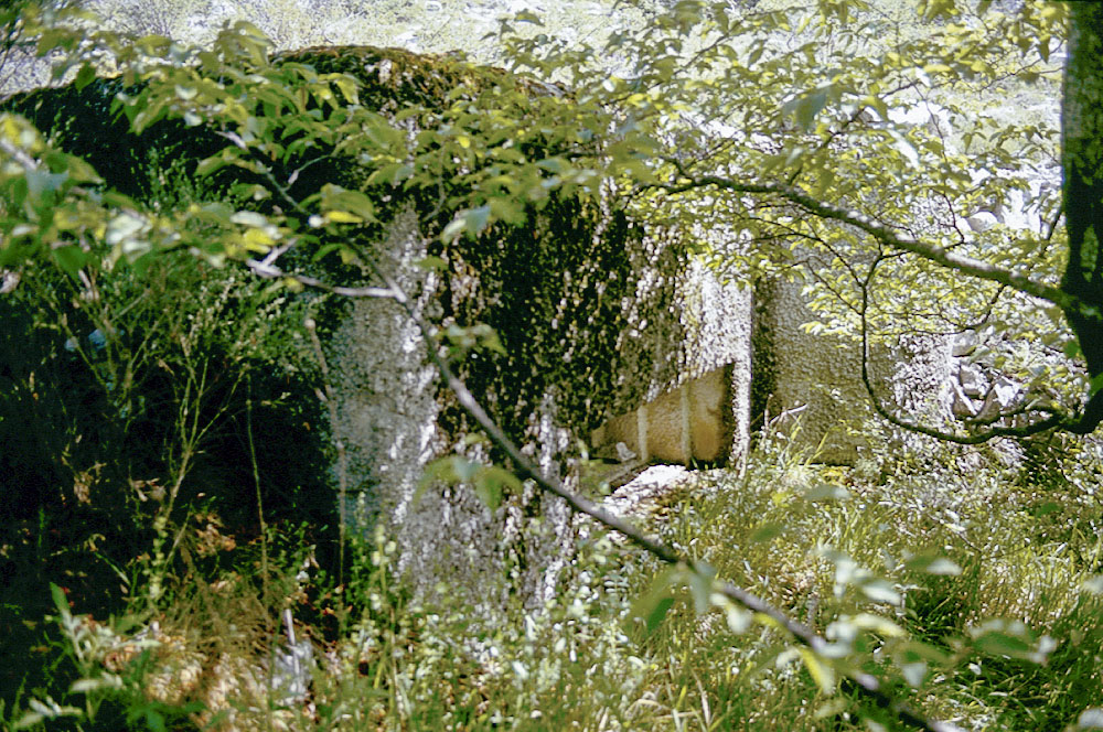 Ligne Maginot - O48 - COTE 942 SUD - (Blockhaus pour arme infanterie) - 