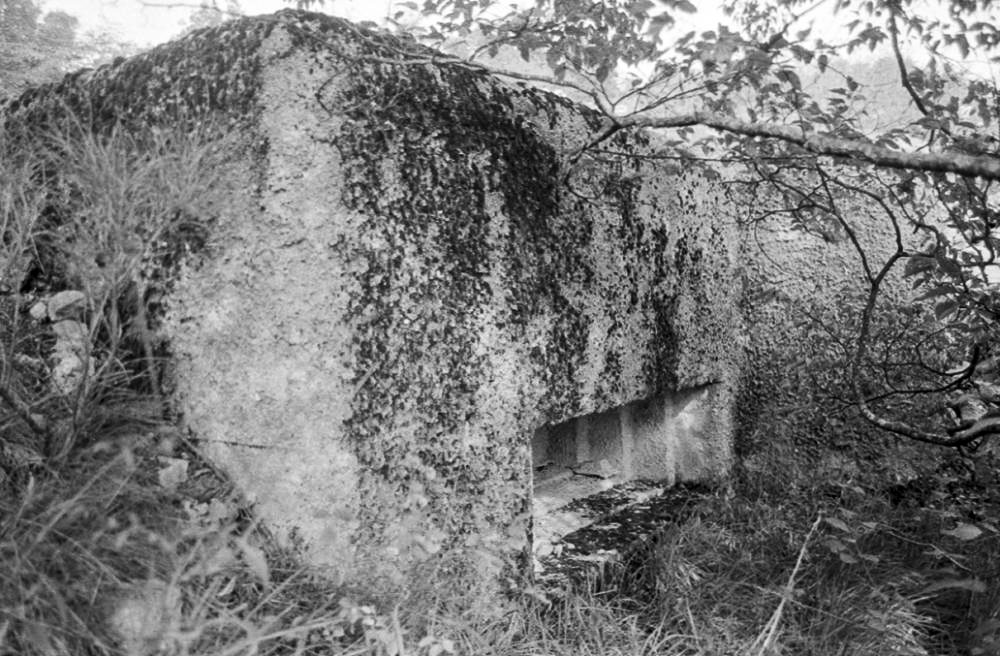Ligne Maginot - O48 - COTE 942 SUD - (Blockhaus pour arme infanterie) - 