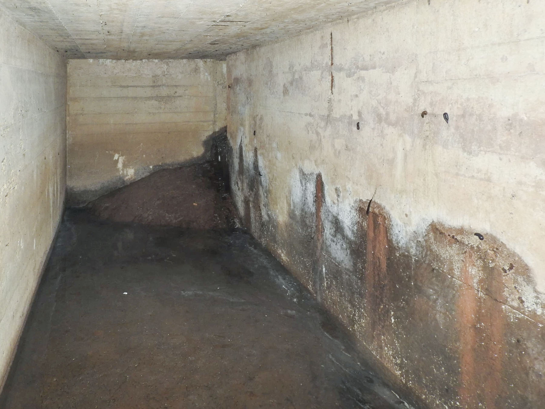 Ligne Maginot - HANAU CENTRE 2 - (PC de Sous-Quartier) - L'intérieur de l'abri.
On remarque une deuxième entrée au fond remblayée.