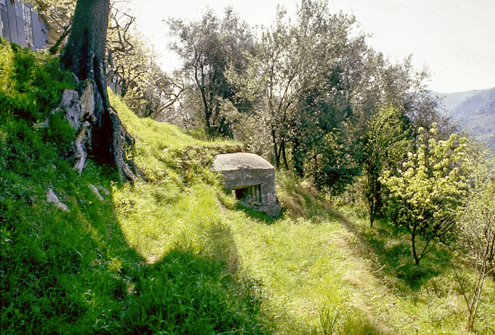 Ligne Maginot - PA DE CASTELLAR 1 - (Blockhaus pour arme infanterie) - 