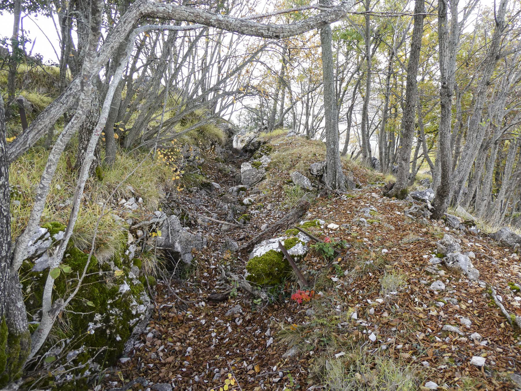 Ligne Maginot - PIC DE GARUCHE - (Abri) - Défenses à proximité