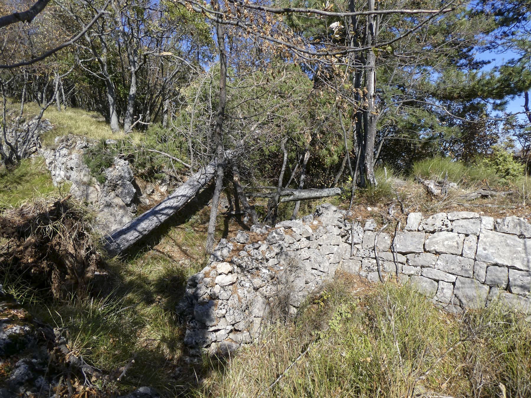 Ligne Maginot - PIC DE GARUCHE 3 - (Cuve pour arme d'infanterie) - Cuve 1
Départ de la tranchée qui mène à la cuve, avec rajout d'un mur de protection en pierres sèches.
