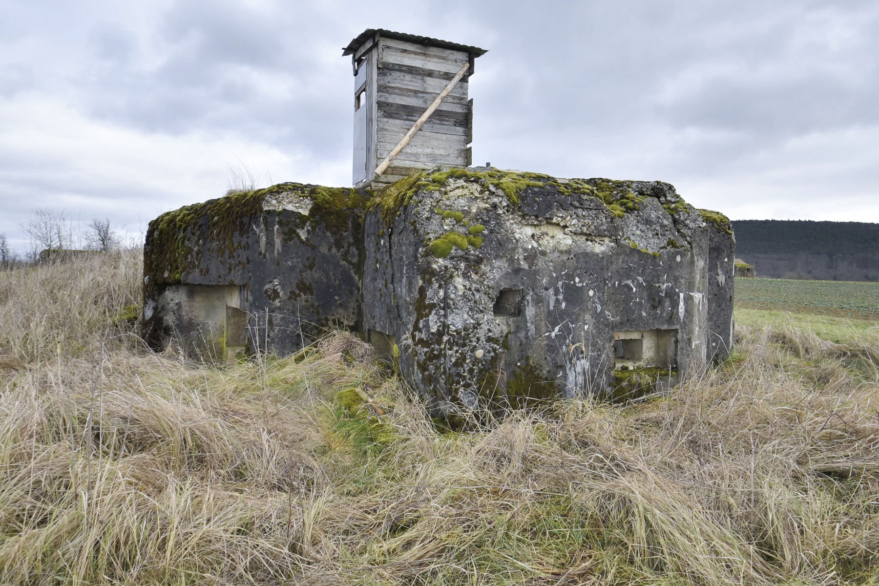 Ligne Maginot - ANDELSBERG 1 - (Blockhaus pour arme infanterie) - 
