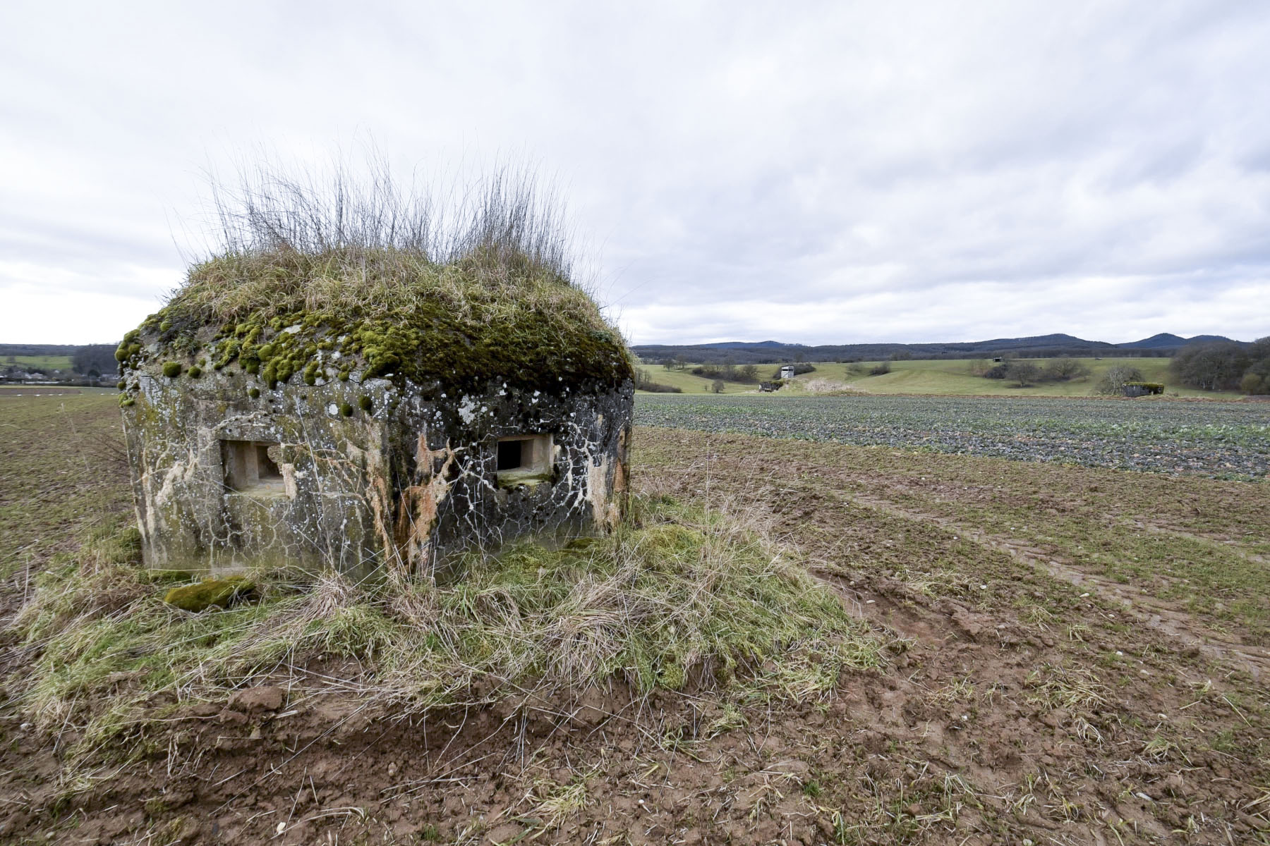 Ligne Maginot - ANDELSBERG 3 - (Blockhaus pour arme infanterie) - 
