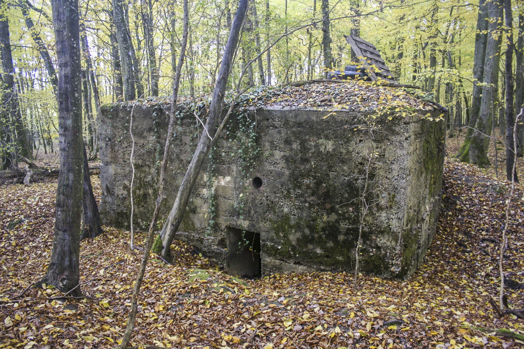 Ligne Maginot - CB219 - MEIEREI 2 - (Blockhaus pour arme infanterie) - 