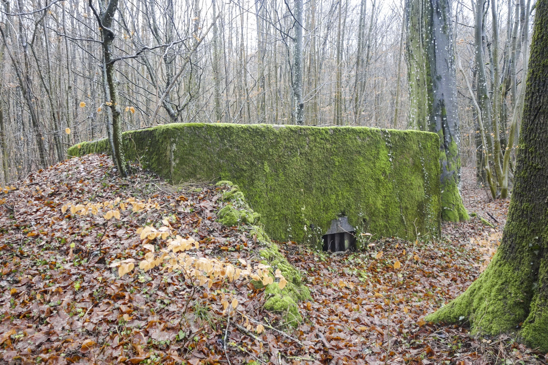 Ligne Maginot - CB332 - GINSKLOPP SUD - (Blockhaus pour arme infanterie) - 