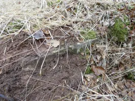 Ligne Maginot - WALDECK (8°BIE 60°RMAF) - (Position d'artillerie préparée) - A droite de la niche la plus à l'Est on distingue une structure remblayée. Une quatrième niche à munitions ?