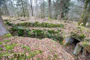 Ligne Maginot - GLASBRONN - (Casemate d'infanterie - Simple) - Une niche de stockage à coté d'un parapet en pierres sèches 