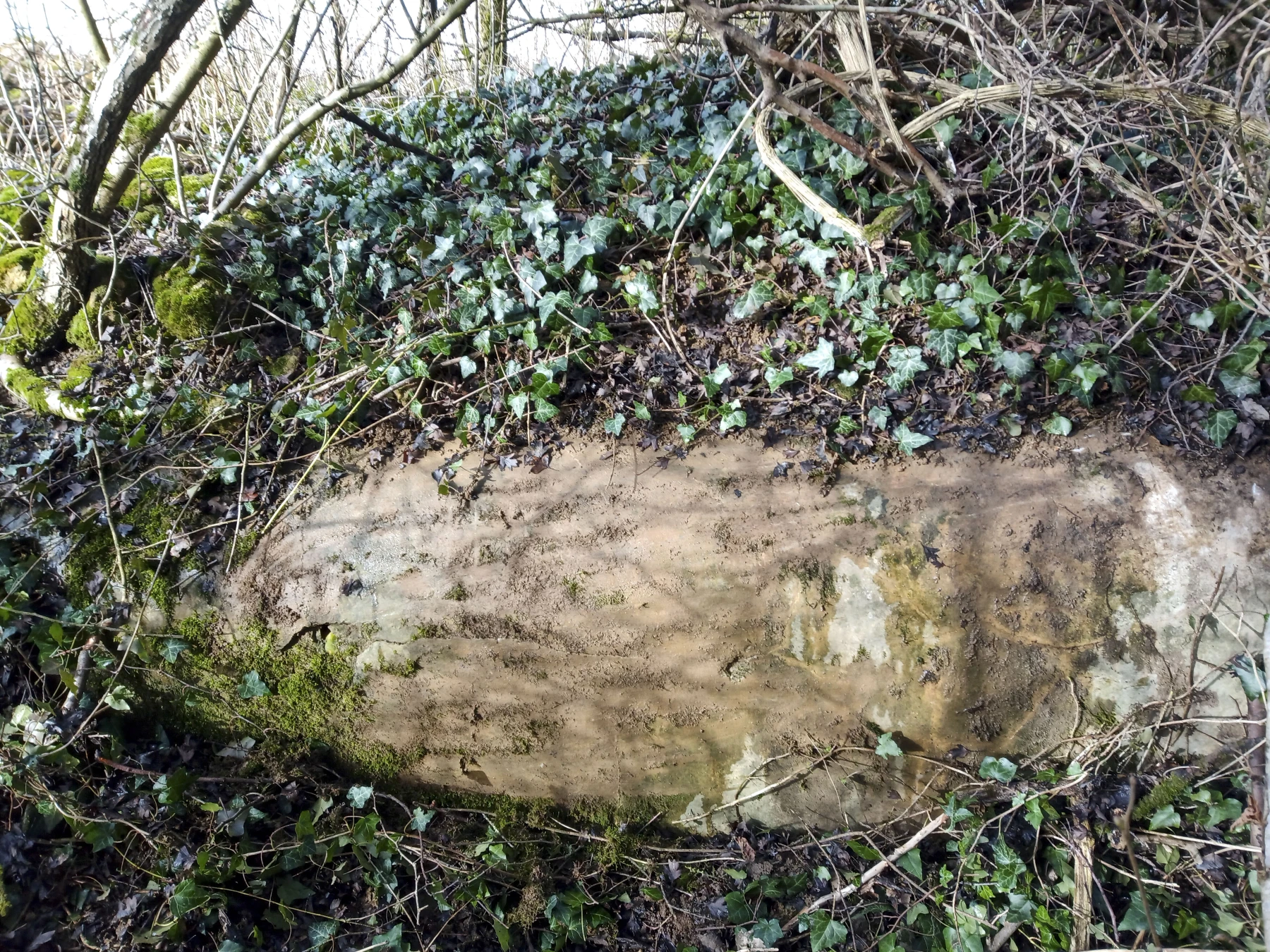 Ligne Maginot - 55L - (Chambre de coupure) - Seul partie visible