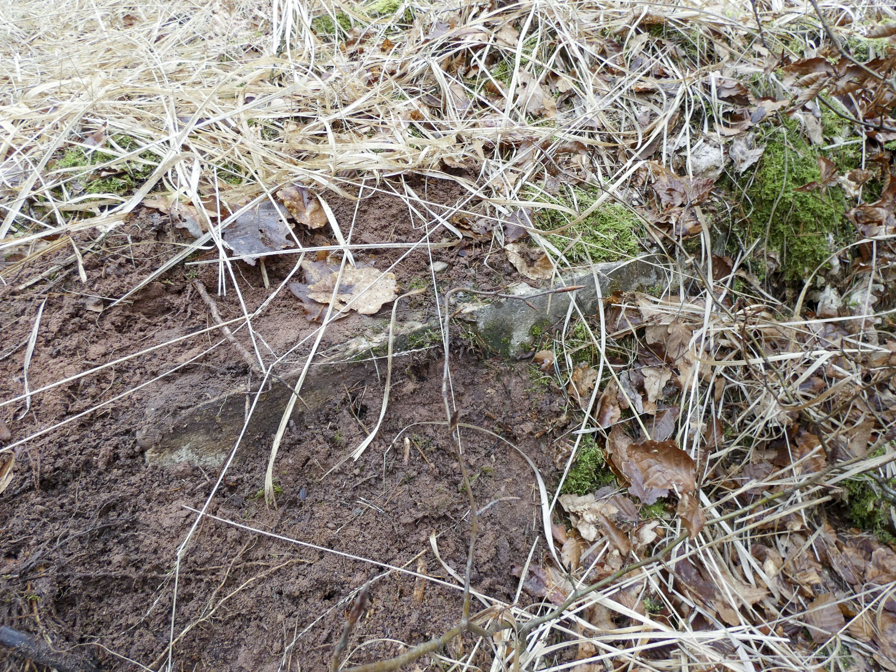 Ligne Maginot - WALDECK (8°BIE 60°RMAF) - (Position d'artillerie préparée) - A droite de la niche la plus à l'Est on distingue une structure remblayée. Une quatrième niche à munitions ?