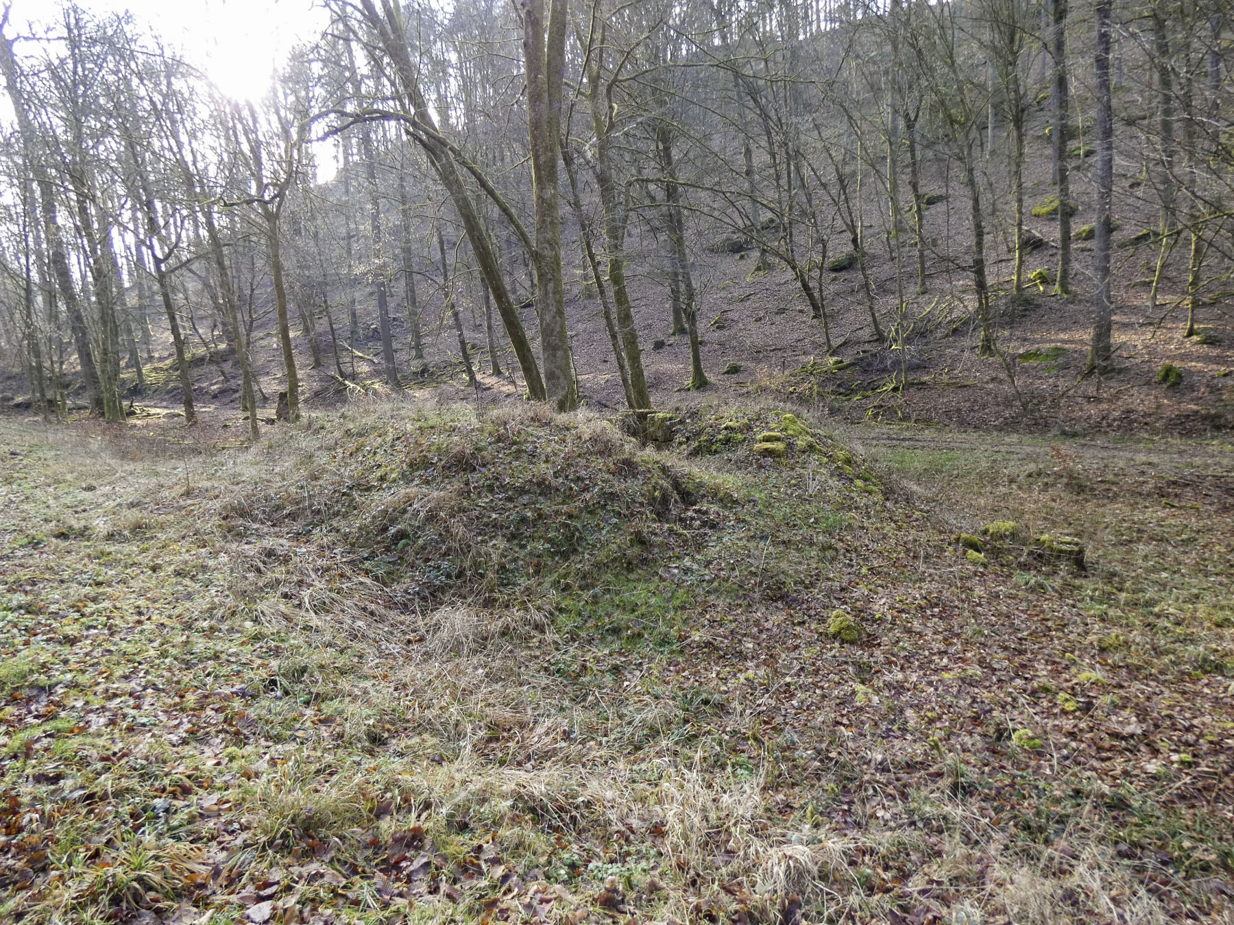 Ligne Maginot - KANDELBERG SUD - (Blockhaus pour arme infanterie) - La cuve vue depuis la route.