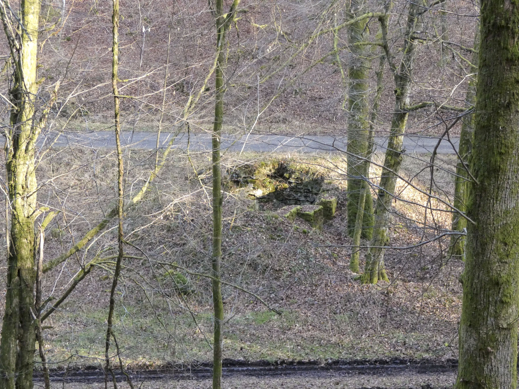 Ligne Maginot - KANDELBERG SUD - (Blockhaus pour arme infanterie) - La cuve vue depuis la pente.