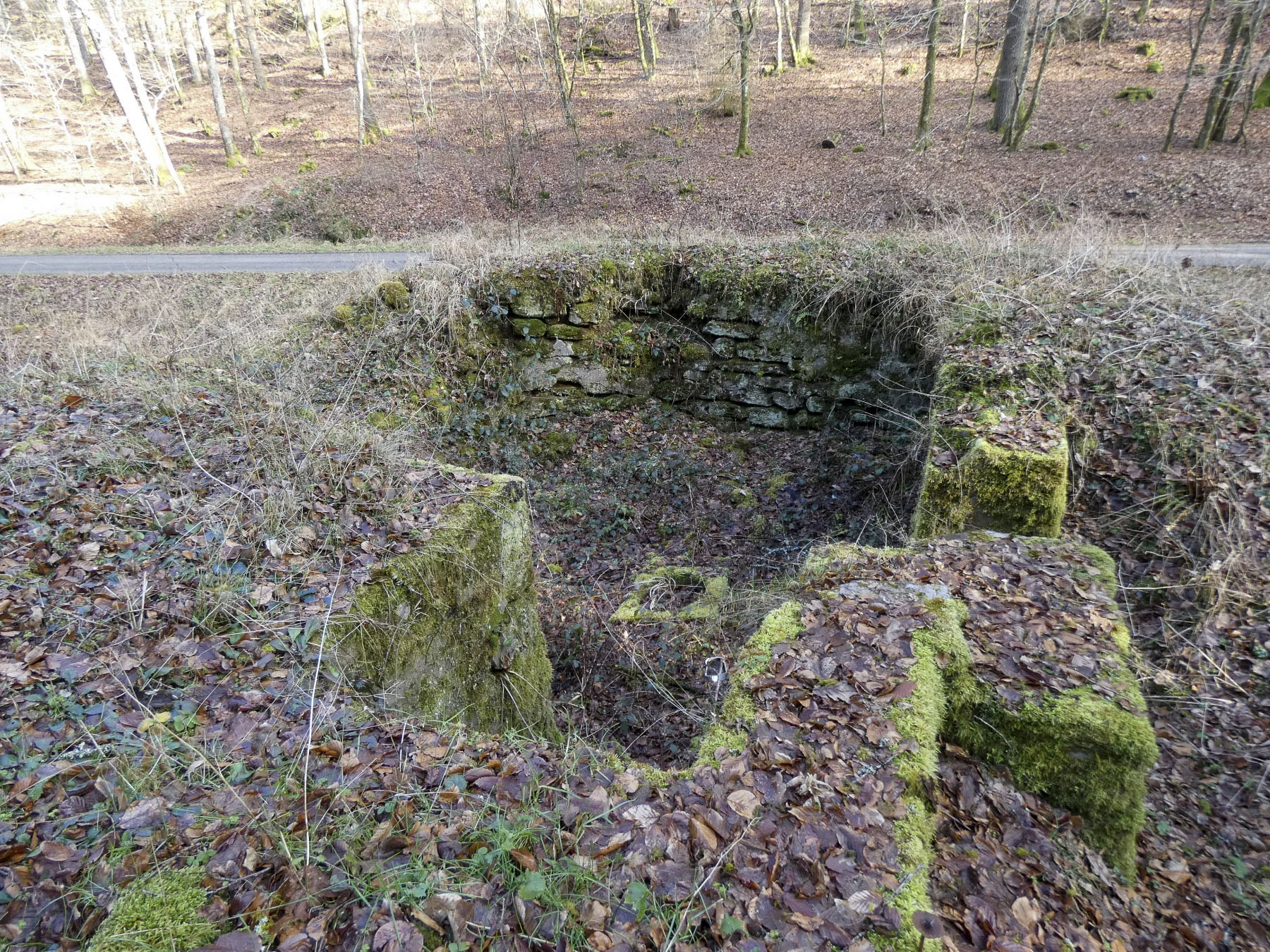 Ligne Maginot - KANDELBERG SUD - (Blockhaus pour arme infanterie) - La cuve sans les détritus.
