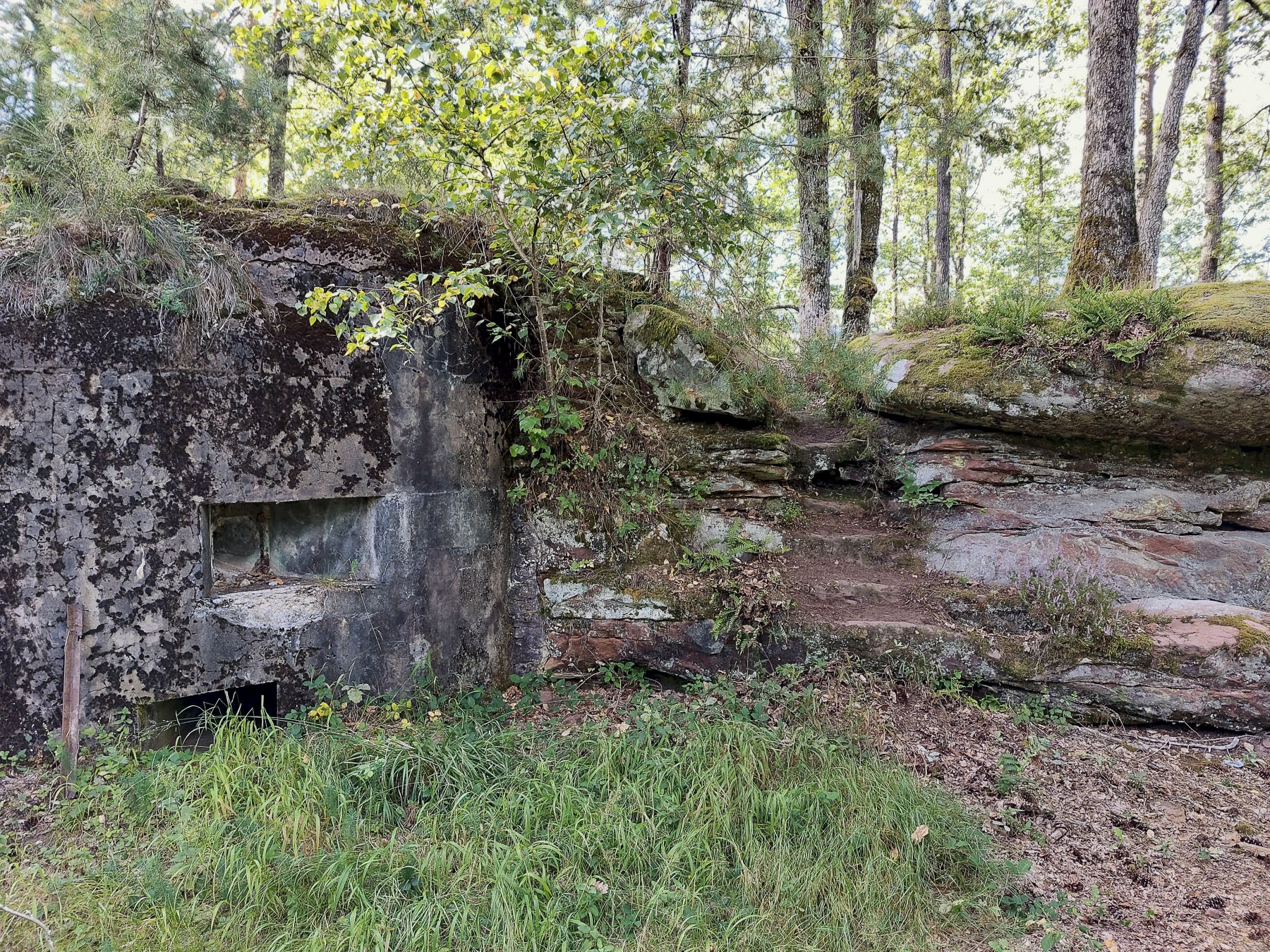 Ligne Maginot - MAIN DU PRINCE 2 - (Blockhaus pour arme infanterie) - Créneau de flanquement à l'extrémité droite de la façade
A coté, un petit escalier à été creusé dans l'escarpement rocheux