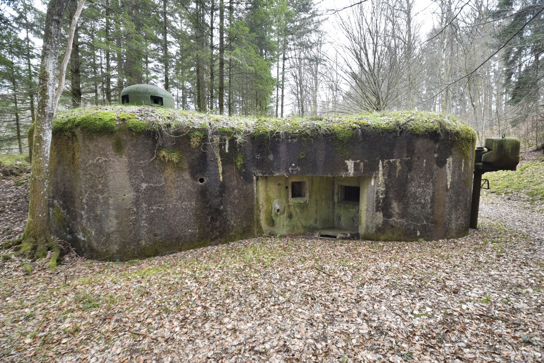 Ligne Maginot - WINECKERTHAL OUEST - (Casemate d'infanterie - Double) - 