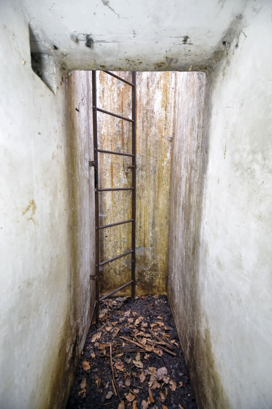 Ligne Maginot - D3 - (Chambre de coupure) - 