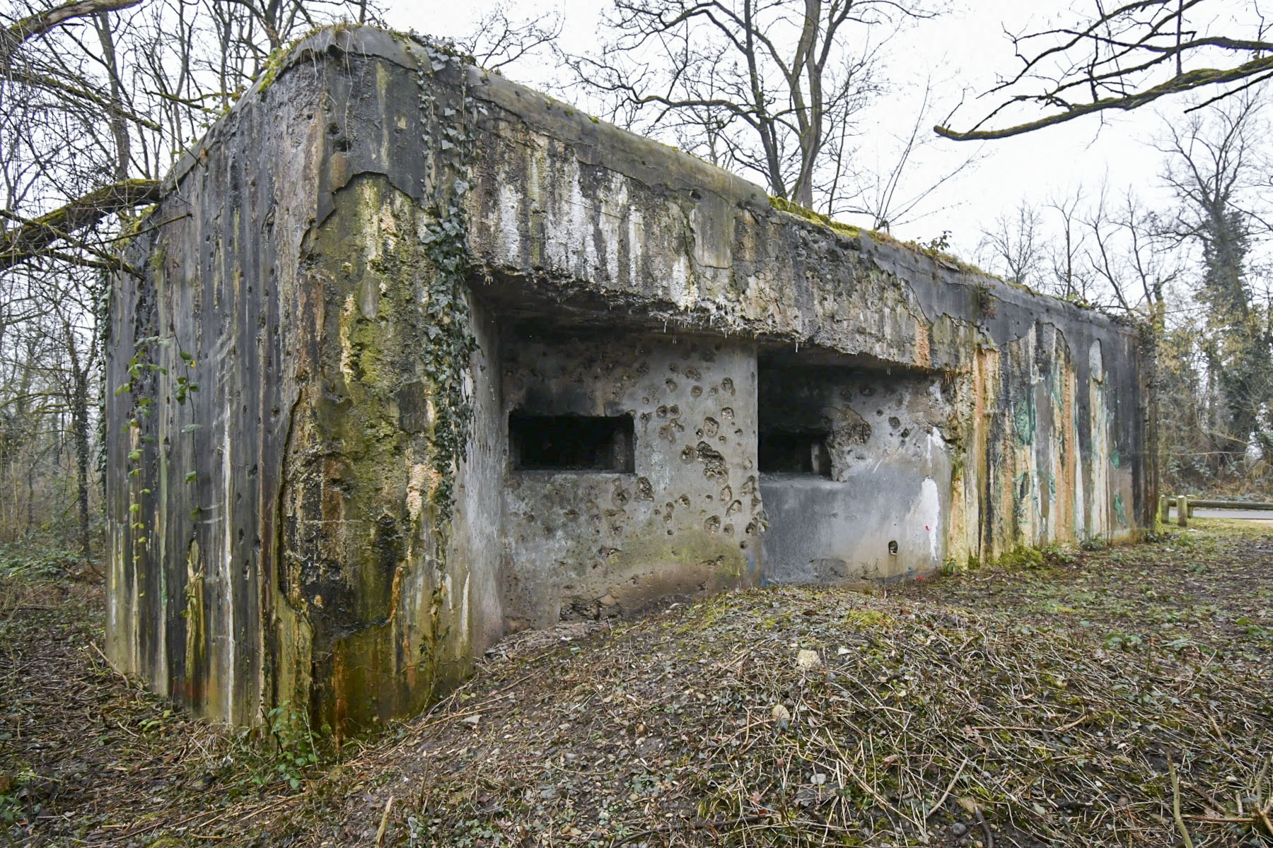 Ligne Maginot - 11/1 - CHALAMPE BERGE NORD - (Casemate d'infanterie - Double) - Coté Nord, depuis le Rhin